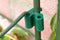 Peacock Twister koppelstukje 4 stuks