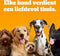 Pedigree Hondenbrokken - Adult Droogvoer - Rund en Groenten - 12kg