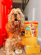 Pedigree Hondensnacks - Megabox - 24 x Rodeo en 4 x Jumbone - 780g