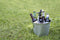 Peleg Design Beerdy Flesopener