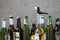 Peleg Design Beerdy Flesopener