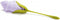 Peleg Design Bloom Servetten - servethouders - 4 stuks