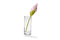 Peleg Design Bloom Servetten - servethouders - 4 stuks