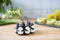 Peleg Design Eierhouder - Eggbears