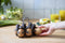 Peleg Design Eierhouder - Eggbears