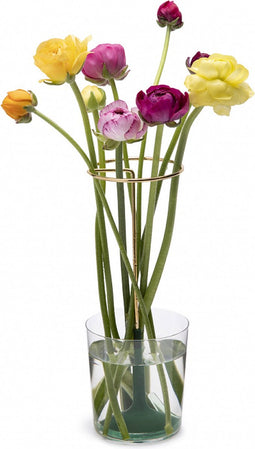 Peleg Design Invisivase