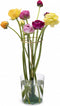 Peleg Design Invisivase