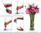 Peleg Design Invisivase