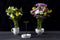 Peleg Design Invisivase