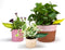 Peleg Design Leaflow Bewateringstunnel (Set Van 3)