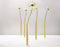 Peleg Design Magnetic vases - gold - set 5 pcs