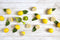 Peleg Design - Peleg Design Lemoniere Juicer
