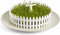 Peleg Design Seed Field