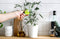 PelegDesign - Kruidenknipper - Leafers
