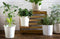 PelegDesign - Kruidenknipper - Leafers