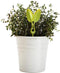 PelegDesign - Kruidenknipper - Leafers