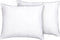 PELISTER - Kussen set van 2 - Wit - 50 x 60 cm - Katoen
