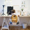Pellianni: RUGZAK GEEL 28x23x10cm, ca 6,5l, ecovriendelijk en veganistisch canvas katoen, Zweeds design, 18m+