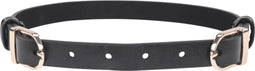 Sportsheets - Sex & Mischief Double Buckle Day Collar