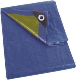 Perel Dekzeil, sterk, 12 ringen, versterkte hoeken, rechthoekig, blauw/groen, 110 g/m², 2 x 4 m
