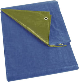 Perel Dekzeil, sterk, 20 ringen, versterkte hoeken, rechthoekig, blauw/groen, 110 g/m², 4 x 6 m