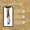 Perfect Garden | Set van 2 oranje Vuurdoorn planten | 15 cm Ø | 60 cm | Pyracantha coccinea Orange Star | Vuurdoorn haag | winterharde planten voor in de tuin | Tuinplanten