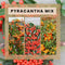 Perfect Garden | Set van 3 Vuurdoorn planten | 15 cm Ø | 60 cm | Pyracantha mix in 3 kleuren | Vuurdoorn haag | winterharde planten voor in de tuin | Tuinplanten