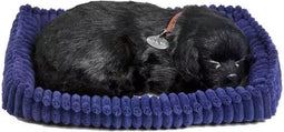 Perfect petzzz Soft labrador zwart