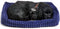 Perfect petzzz Soft labrador zwart
