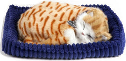Perfect petzzz Soft orange tabby