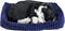Perfect Petzzz - Soft - Zwart Witte Kitten