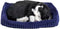 Perfect Petzzz - Soft - Zwart Witte Kitten