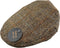 Pet County Groen - Harris Tweed - Glen Appin of Scotland L (59-60 cm)