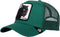 Pet Groen petten groen