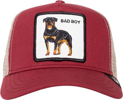 Pet Rood The baddest boy petten rood