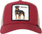 Pet Rood The baddest boy petten rood