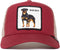 Pet Rood The baddest boy petten rood