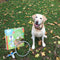 Pet Treatment Huisdierwasser - met zeepdispenser - 1/2