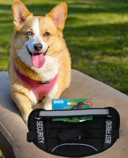 Pet Treatment - Medium Hondentuigje