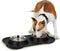 Pet Treatment Voerbakken voor Huisdier met Plateau - Etensbak - Hond - RVS - Large