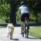 Petego Hondenfietsriem Cycleash Universeel 85 Cm