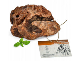 PETMEX briar root M – dog chews