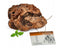 PETMEX briar root M – dog chews