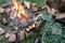 Petromax - Gietijzeren Aardappel/Groente Cooker