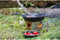 Petromax - Gietijzeren Skillet - Ø20cm - steel