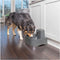 Petsafe drinkwell big dog fontein - Default Title