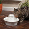 Petsafe Drinkwell Ceramic Avalon - Drinkfontein - 2 L