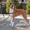 PetSafe Easy Walk® - Hondentuigje - Zwart - L - 66-91 cm