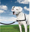 PetSafe Easy Walk® - Hondentuigje - Zwart - L - 66-91 cm