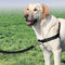 PetSafe Easy Walk® - Hondentuigje - Zwart - L - 66-91 cm
